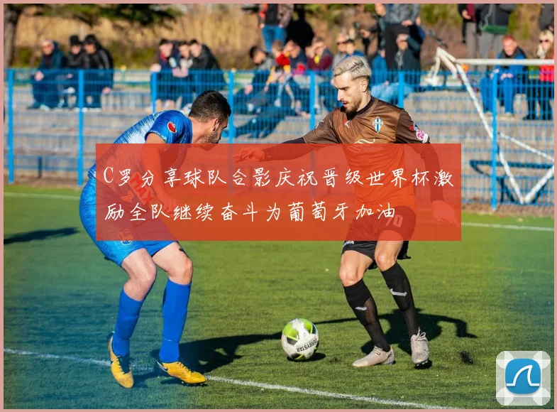 C罗分享球队合影庆祝晋级世界杯激励全队继续奋斗为葡萄牙加油